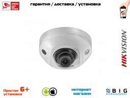 № 100071 Купить DS-2CD2523G0-IWS Казань