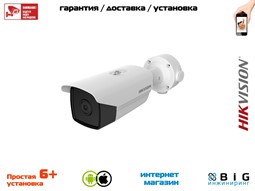 № 100500 Купить Тепловизионная цилиндрическая камера DS-2TD2117-6/V1 Казань